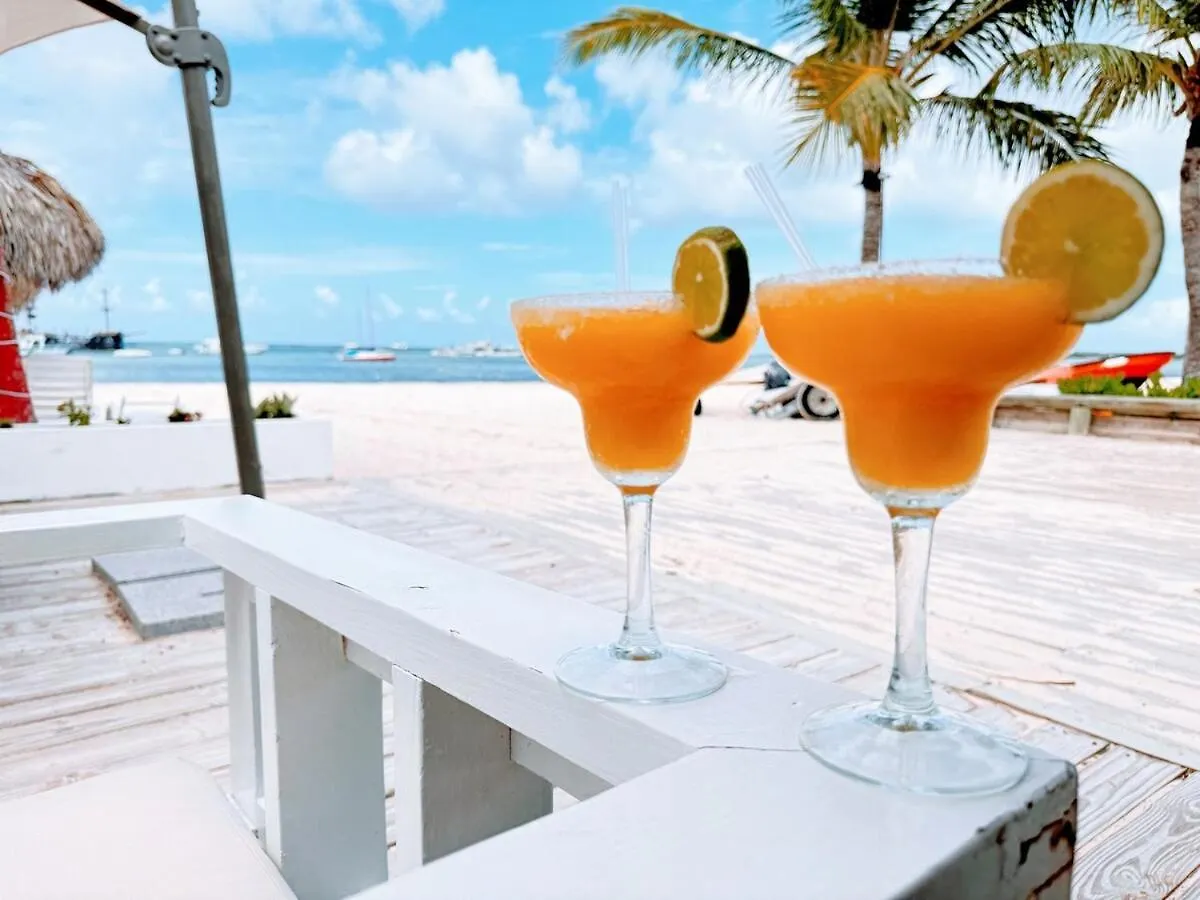 Apartment Rooftop, Pool View, Walk To Beach, Dining, Shops Punta Cana